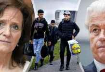 Compromis bereikt in asielruzie coalitie: PVV en NSC overeenstemming bereikt news-23102024-170012