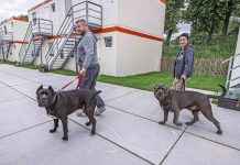 Oekraïners betalen meer voor opvangkosten: 105 euro te laag news-05112024-112741