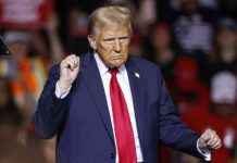 ‘Team Trump bereidt zich voor op terugtrekking uit klimaatakkoord’ news-09112024-041144