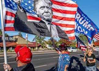 Lessen uit stormachtige politieke ontwikkelingen in de VS: Waarom ‘Amerikanen een sloper willen’ news-09112024-101324