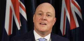 news-12112024-102556