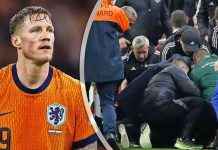 Nederlands elftal wint eenvoudig van Hongarije in Nations League news-17112024-062100