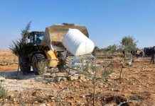 Israëlische kolonisten en leger vallen Nederlandse hulpprojecten aan op Westoever news-18112024-002608