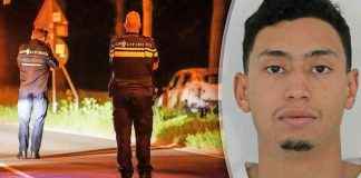 news-19112024-002943