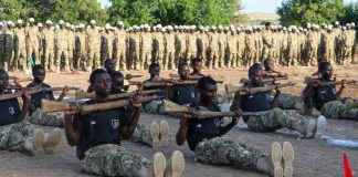 news-19112024-063123