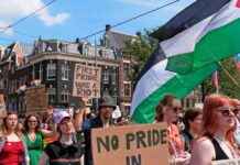 Amsterdam: Chaos door amateuristische subsidieslurper news-28112024-164121