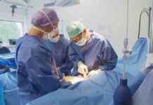 Arts geschorst voor betasten verdoofde patiënten news-30112024-044719