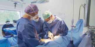 news-30112024-044719