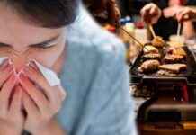 Kerstgourmet: Voorkom griep door ventilatie met open ramen en deuren kerstgourmet-voorkom-griep-door-ventilatie-met-open-ramen-en-deuren