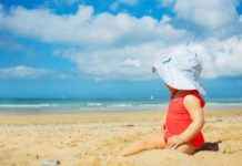 Nederlandse klimaattrends tonen 2024 als een van de warmste jaren ooit nederlandse-klimaattrends-tonen-2024-als-een-van-de-warmste-jaren-ooit