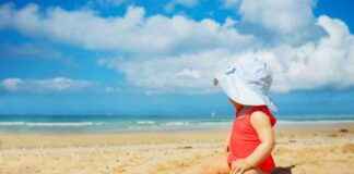 nederlandse-klimaattrends-tonen-2024-als-een-van-de-warmste-jaren-ooit