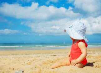 Nederlandse klimaattrends tonen 2024 als een van de warmste jaren ooit nederlandse-klimaattrends-tonen-2024-als-een-van-de-warmste-jaren-ooit