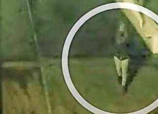 Politie onderzoekt één dader van twee moorden in Rotterdam politie-onderzoekt-n-dader-van-twee-moorden-in-rotterdam