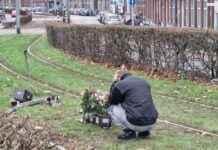 Familie rouwt om 14-jarige Jack op trambaan Rotterdam: ‘Hij was vuurwerk’ familie-rouwt-om-14-jarige-jack-op-trambaan-rotterdam-hij-was-vuurwerk