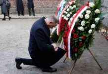 Herdenking 80 jaar Auschwitz: overlevenden en wereldleiders bij voormalig vernietigingskamp herdenking-80-jaar-auschwitz-overlevenden-en-wereldleiders-bij-voormalig-vernietigingskamp