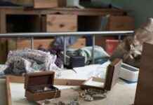 Het aantal inbraken in Nederland bereikte laagste punt sinds 2012 het-aantal-inbraken-in-nederland-bereikte-laagste-punt-sinds-2012