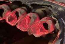 Nederlandse autoriteiten inbeslagname van meer dan 107.250 kg illegaal vuurwerk in 2024, een toename van 36% nederlandse-autoriteiten-inbeslagname-van-meer-dan-107250-kg-illegaal-vuurwerk-in-2024-een-toename-van-36