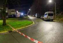 Schietpartij op bedrijventerrein Almere zonder gewonden – Nieuws en updates schietpartij-op-bedrijventerrein-almere-zonder-gewonden-nieuws-en-updates