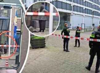 Verdachte gesluierde vrouw met holle blik op politiebureau Utrecht: getuige onthult schokkende details verdachte-gesluierde-vrouw-met-holle-blik-op-politiebureau-utrecht-getuige-onthult-schokkende-details