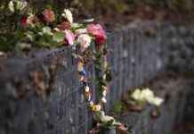 Zorgen bewoners Den Dolder over psychiatrische kliniek zorgen-bewoners-den-dolder-over-psychiatrische-kliniek