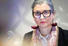 Coalitie verdeeld: BBB, PVV en VVD tegen bezoek VN-rapporteur, NSC neemt aanstoot maar gaat wel coalitie-verdeeld-bbb-pvv-en-vvd-tegen-bezoek-vn-rapporteur-nsc-neemt-aanstoot-maar-gaat-wel