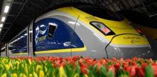 directe-eurostar-trein-tussen-amsterdam-en-londen-hervat-vandaag