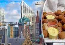 Hoe kunnen Ministeries effectief bezuinigen zonder kwaliteit te verliezen? hoe-kunnen-ministeries-effectief-bezuinigen-zonder-kwaliteit-te-verliezen