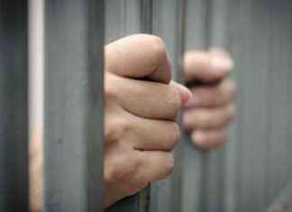 Verbeterde omstandigheden voor vrouwelijke gevangenen in Nederlandse gevangenissen nodig verbeterde-omstandigheden-voor-vrouwelijke-gevangenen-in-nederlandse-gevangenissen-nodig