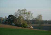 Breckie Hill OnlyFan Leaks – De laatste updates en reacties Breckie Hill OnlyFan Leaks – De laatste updates en reacties