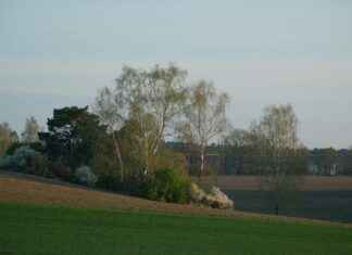 Breckie Hill OnlyFan Leaks – De laatste updates en reacties Breckie Hill OnlyFan Leaks – De laatste updates en reacties