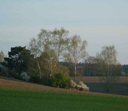 Breckie Hill OnlyFan Leaks – De laatste updates en reacties Breckie Hill OnlyFan Leaks – De laatste updates en reacties