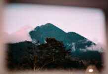 Breckie Hill OnlyFans Leaked – Wat je moet weten over het lek Breckie Hill OnlyFans Leaked – Wat je moet weten over het lek