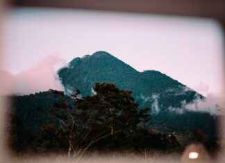 Breckie Hill OnlyFans Leaked – Wat je moet weten over het lek Breckie Hill OnlyFans Leaked – Wat je moet weten over het lek