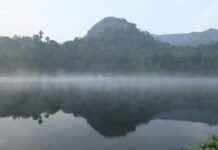 Breckie Hill OnlyFans – Waarom ze zoveel aandacht krijgt Breckie Hill OnlyFans – Waarom ze zoveel aandacht krijgt