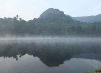 Breckie Hill OnlyFans – Waarom ze zoveel aandacht krijgt Breckie Hill OnlyFans – Waarom ze zoveel aandacht krijgt