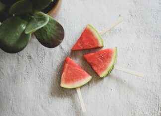 Daka Rotterdam Noord Abraham Van Stolkweg Rotterdam Daka Rotterdam Noord Abraham Van Stolkweg Rotterdam