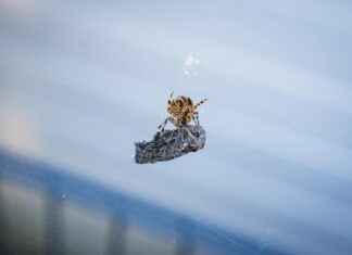 De Tuin Van De Vier Windstreken Plaszoom Rotterdam De Tuin Van De Vier Windstreken Plaszoom Rotterdam