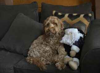 Emily Black OnlyFans Leaks – Wat is er echt gelekt? Emily Black OnlyFans Leaks – Wat is er echt gelekt?