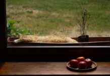 Hoe Laat Begint Wie Is De Mol Hoe Laat Begint Wie Is De Mol