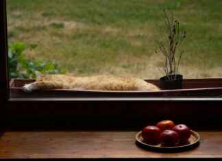 Hoe Laat Begint Wie Is De Mol Hoe Laat Begint Wie Is De Mol