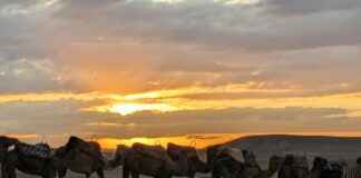 Hoe Laat Is Groots Met Een Zachte G Afgelopen Hoe Laat Is Groots Met Een Zachte G Afgelopen