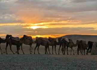 Hoe Laat Is Het In Curaçao Hoe Laat Is Het In Curaçao