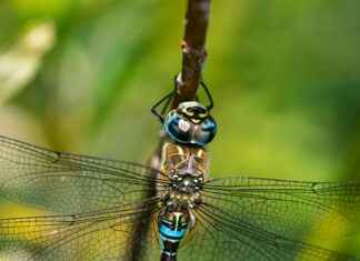 Hoe Laat Is Het In Nederland Hoe Laat Is Het In Nederland
