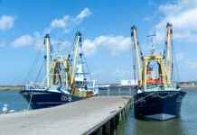 Hoe Laat Is Het In Nederland Nu Hoe Laat Is Het In Nederland Nu