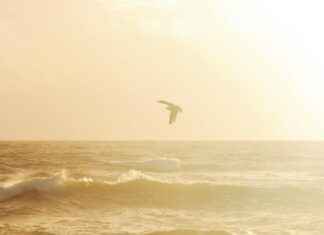 Hoe Laat Is Het In Portugal Hoe Laat Is Het In Portugal