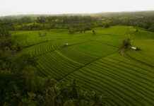 Hoe Laat Is Het Op Bali Hoe Laat Is Het Op Bali