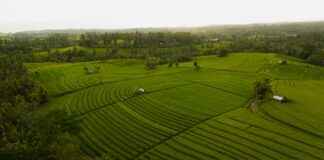 Hoe Laat Is Het Op Bali