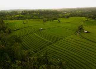 Hoe Laat Is Het Op Bali Hoe Laat Is Het Op Bali
