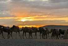 Hoe Laat Is Het Op Bonaire Hoe Laat Is Het Op Bonaire