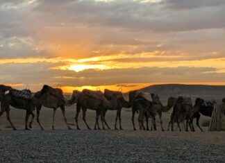 Hoe Laat Is Het Op Bonaire Hoe Laat Is Het Op Bonaire
